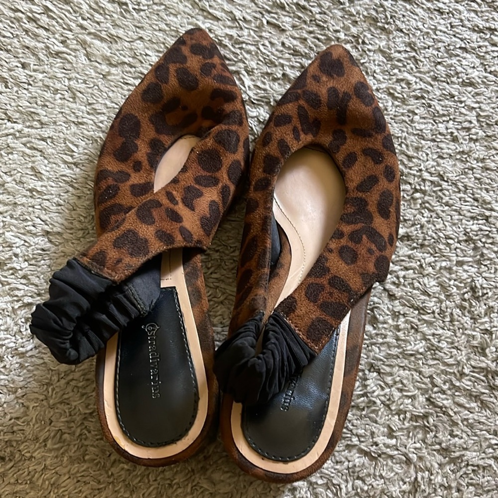 FEROCIOUS FLATS